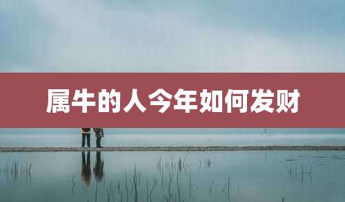 属牛的人今年如何发财