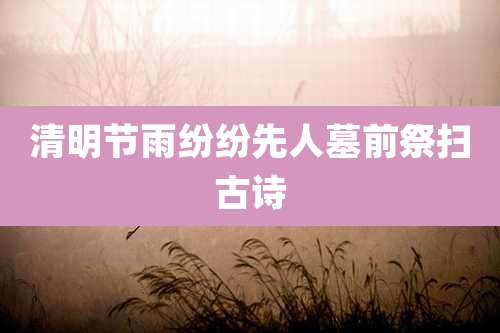 清明节雨纷纷先人墓前祭扫古诗