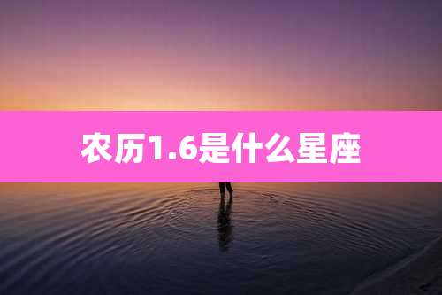 农历1.6是什么星座