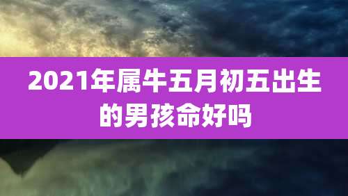 2021年属牛五月初五出生的男孩命好吗