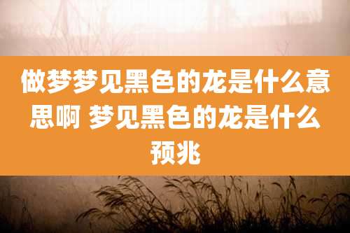 做梦梦见黑色的龙是什么意思啊 梦见黑色的龙是什么预兆