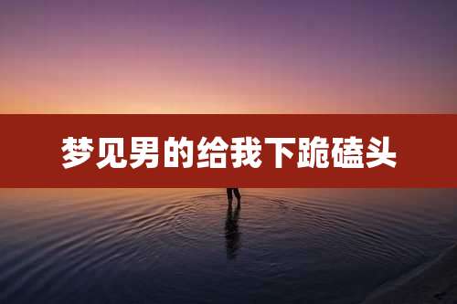 梦见男的给我下跪磕头