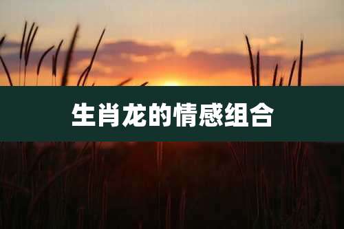 生肖龙的情感组合