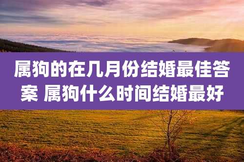 属狗的在几月份结婚最佳答案 属狗什么时间结婚最好