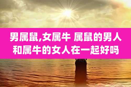 男属鼠,女属牛 属鼠的男人和属牛的女人在一起好吗