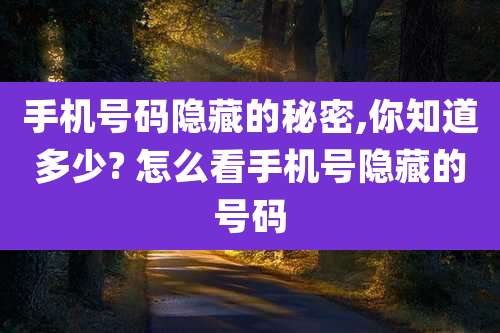手机号码隐藏的秘密,你知道多少? 怎么看手机号隐藏的号码