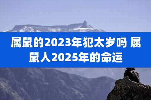 属鼠的2023年犯太岁吗 属鼠人2025年的命运