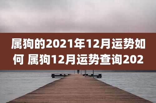 属狗的2021年12月运势如何 属狗12月运势查询2020
