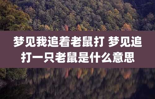 梦见我追着老鼠打 梦见追打一只老鼠是什么意思