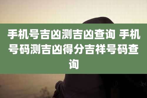手机号吉凶测吉凶查询 手机号码测吉凶得分吉祥号码查询