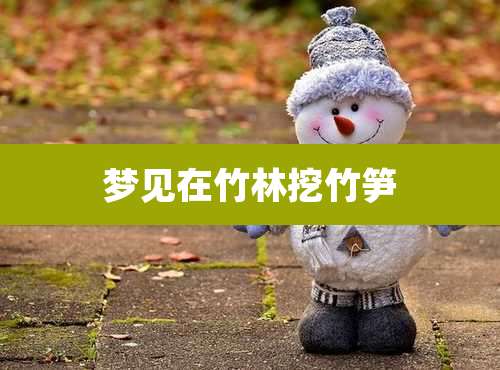 梦见在竹林挖竹笋