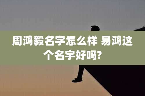 周鸿毅名字怎么样 易鸿这个名字好吗?