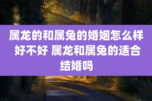 属龙的和属兔的婚姻怎么样 好不好 属龙和属兔的适合结婚吗