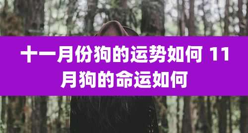 十一月份狗的运势如何 11月狗的命运如何