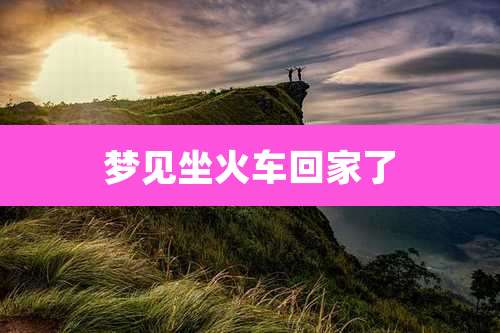 梦见坐火车回家了