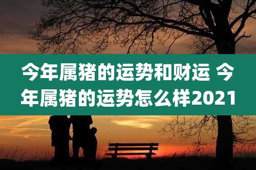 今年属猪的运势和财运 今年属猪的运势怎么样2021
