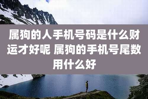 属狗的人手机号码是什么财运才好呢 属狗的手机号尾数用什么好