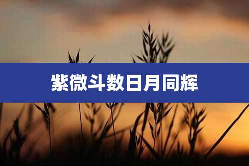 紫微斗数日月同辉