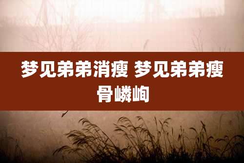 梦见弟弟消瘦 梦见弟弟瘦骨嶙峋