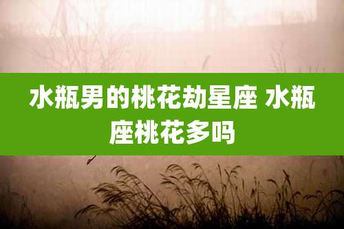 水瓶男的桃花劫星座 水瓶座桃花多吗