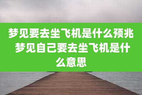 梦见要去坐飞机是什么预兆 梦见自己要去坐飞机是什么意思