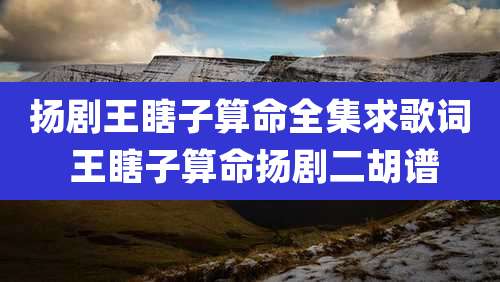 扬剧王瞎子算命全集求歌词 王瞎子算命扬剧二胡谱