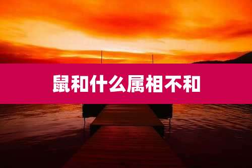 鼠和什么属相不和