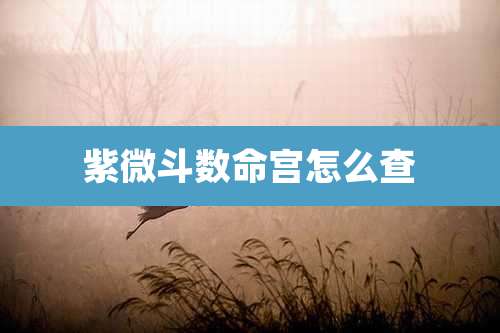 紫微斗数命宫怎么查