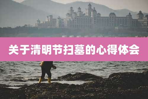 关于清明节扫墓的心得体会