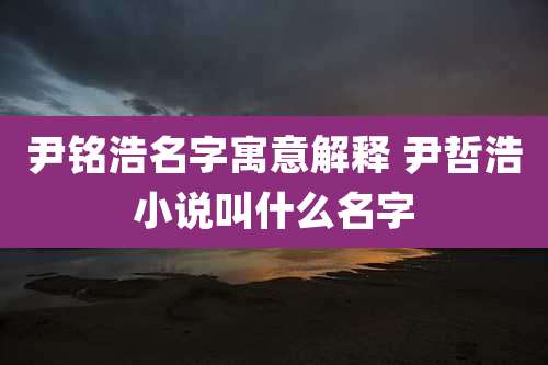 尹铭浩名字寓意解释 尹哲浩小说叫什么名字