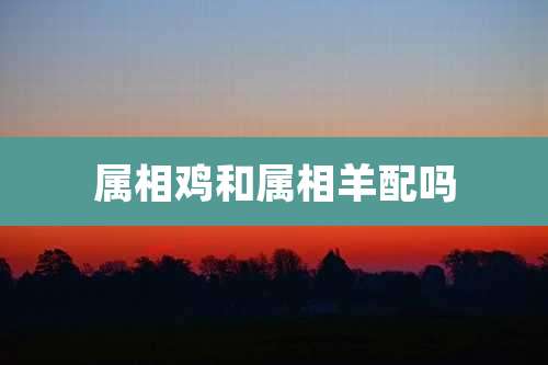 属相鸡和属相羊配吗