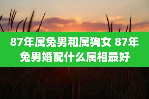87年属兔男和属狗女 87年兔男婚配什么属相最好