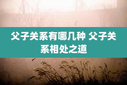 父子关系有哪几种 父子关系相处之道