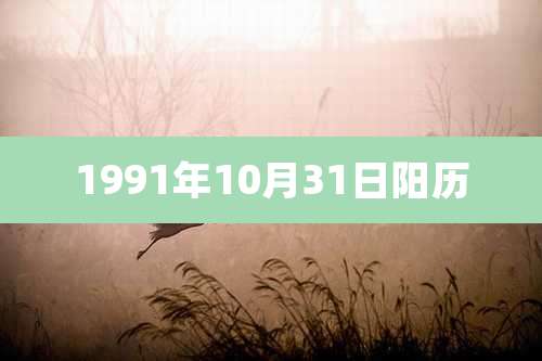 1991年10月31日阳历