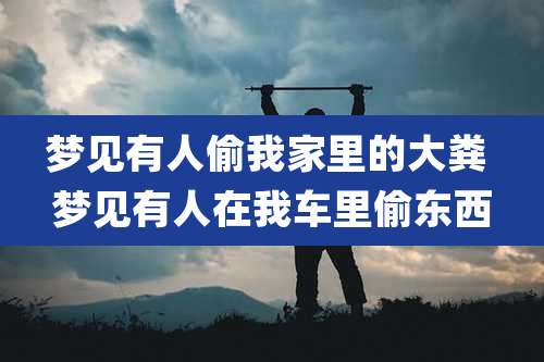 梦见有人偷我家里的大粪 梦见有人在我车里偷东西