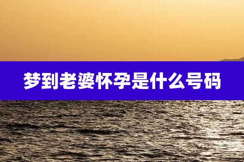 梦到老婆怀孕是什么号码