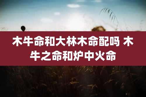 木牛命和大林木命配吗 木牛之命和炉中火命
