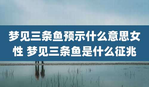 梦见三条鱼预示什么意思女性 梦见三条鱼是什么征兆