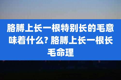 胳膊上长一根特别长的毛意味着什么? 胳膊上长一根长毛命理