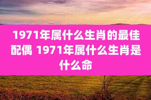 1971年属什么生肖的最佳配偶 1971年属什么生肖是什么命