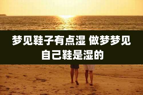 梦见鞋子有点湿 做梦梦见自己鞋是湿的