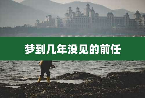 梦到几年没见的前任