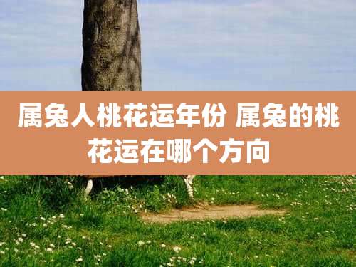 属兔人桃花运年份 属兔的桃花运在哪个方向