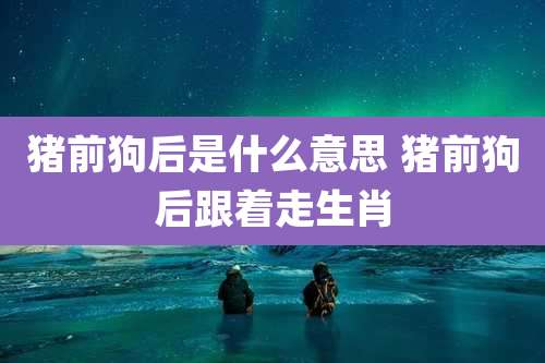 猪前狗后是什么意思 猪前狗后跟着走生肖