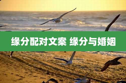 缘分配对文案 缘分与婚姻