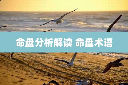 命盘分析解读 命盘术语