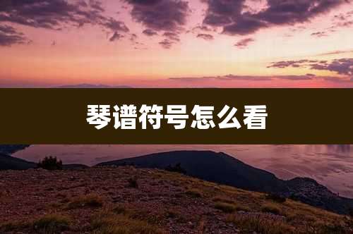 琴谱符号怎么看