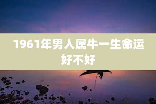 1961年男人属牛一生命运好不好