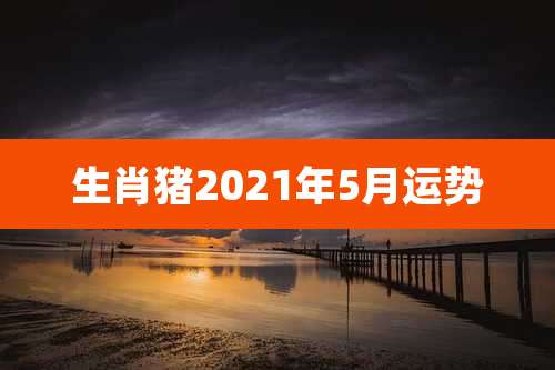 生肖猪2021年5月运势