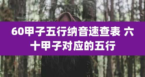 60甲子五行纳音速查表 六十甲子对应的五行